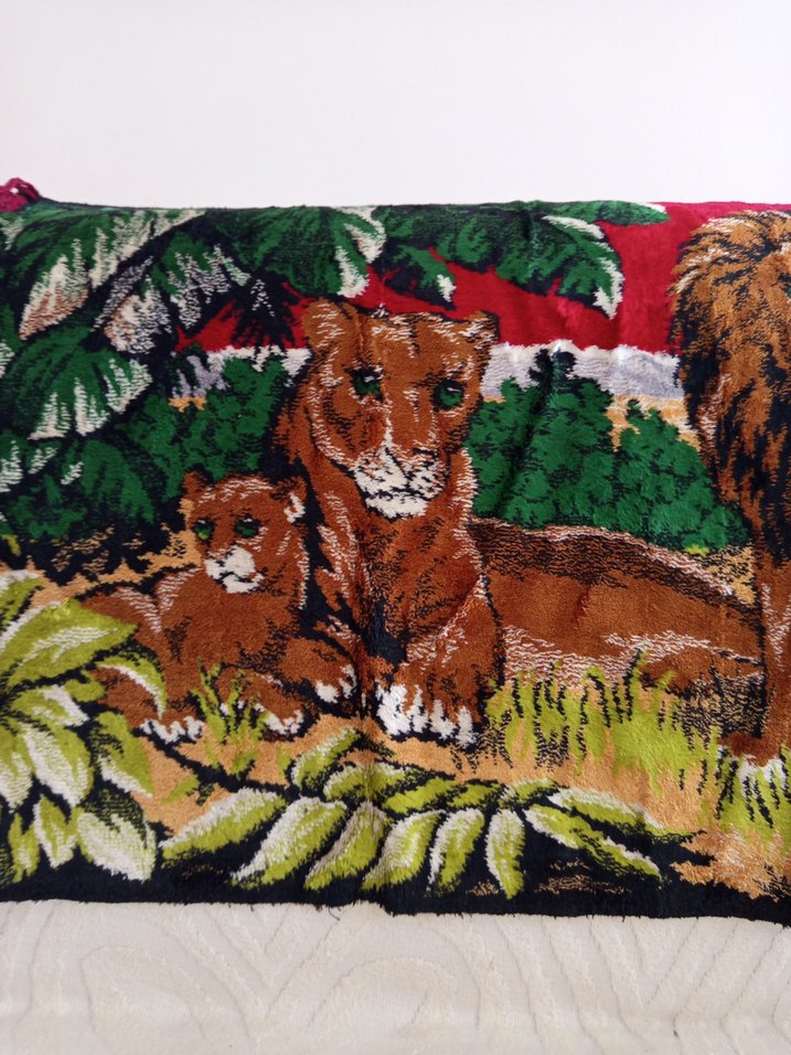 DUVAR HALISI - Görsel 4