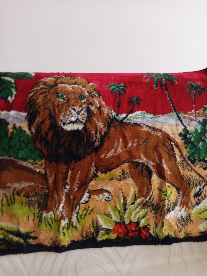 DUVAR HALISI - Görsel 5