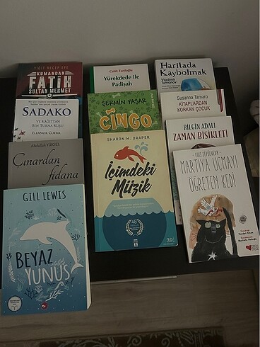 Hikaye kitapları