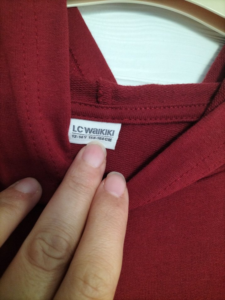 Bordo Kapüşonlu Michigan Baskılı Sweatshirt - Görsel 4