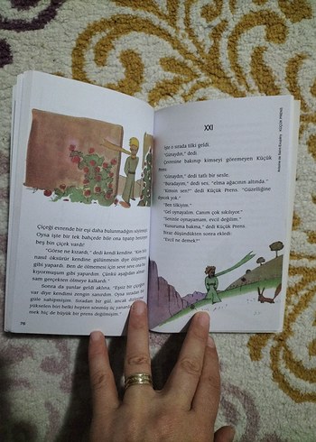 Küçük Prens - Cemal Süreya & Tomris Uyar Çevirisi - Görsel 6