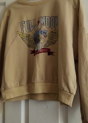 LC Waikiki Sweat