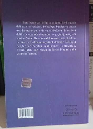  Akıllı deliler kitabı