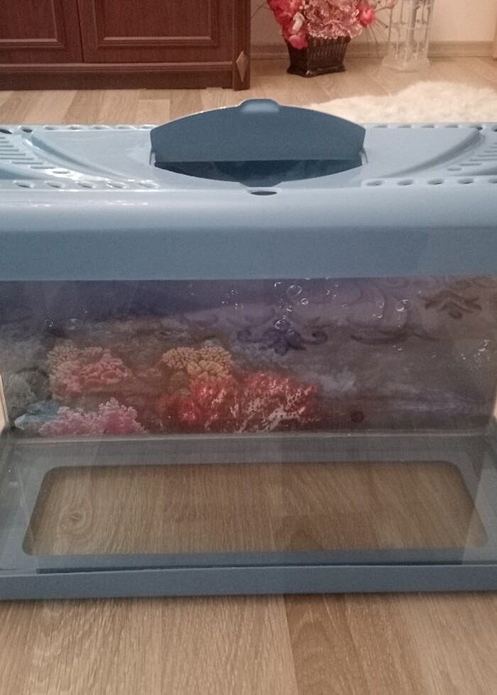 Satılık akvaryum  - Görsel 2