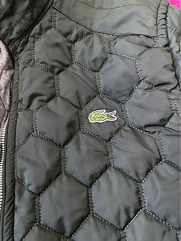 Lacoste Lacoste Ceket