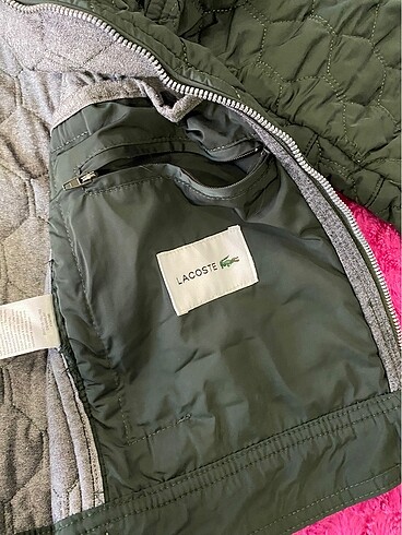 s Beden yeşil Renk Lacoste Ceket