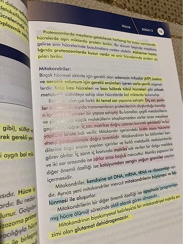 Beden Fizyoloji