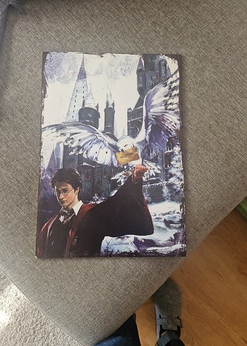 Harry Potter ve Baykuşu Ahşap Tablo 35cm ×50cm - Görsel 2