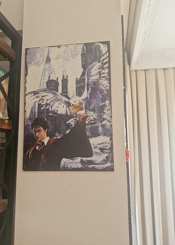 Harry Potter ve Baykuşu Ahşap Tablo 35cm ×50cm - Görsel 3