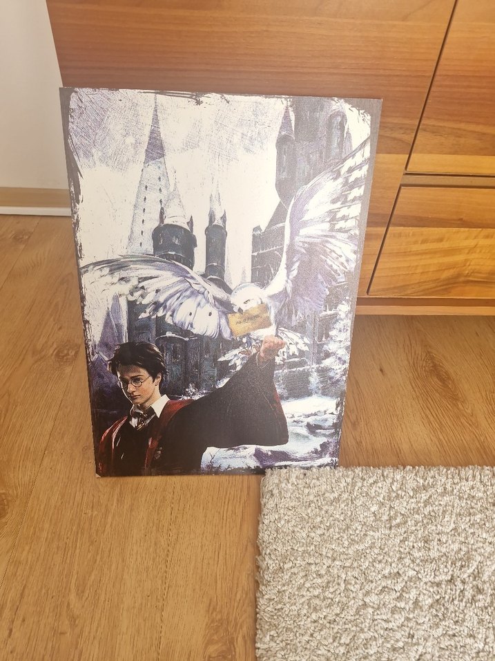 Harry Potter  ve Baykuşu Ahşap Tablo 35cm ×50cm - Görsel 4