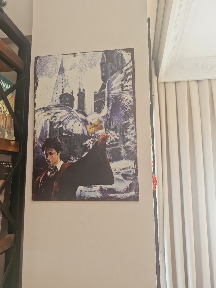 Harry Potter  ve Baykuşu Ahşap Tablo 35cm ×50cm - Görsel 3