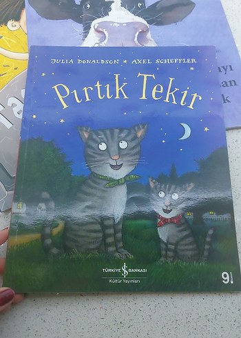Çocuklar için Resimli Kitap Seti - Görsel 3