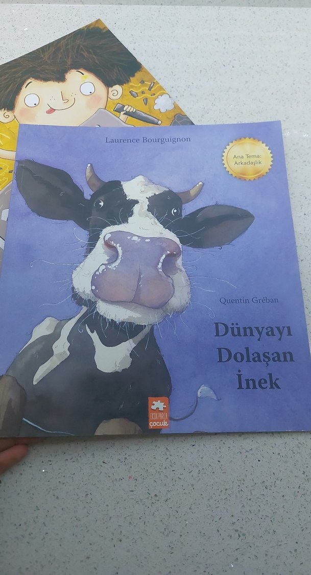 Çocuklar için Resimli Kitap Seti - Görsel 4