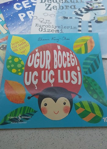 Çocuklar için Renkli Resimli Kitap Seti - Görsel 2