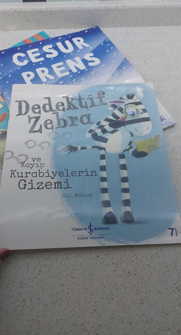 Çocuklar için Renkli Resimli Kitap Seti - Görsel 3