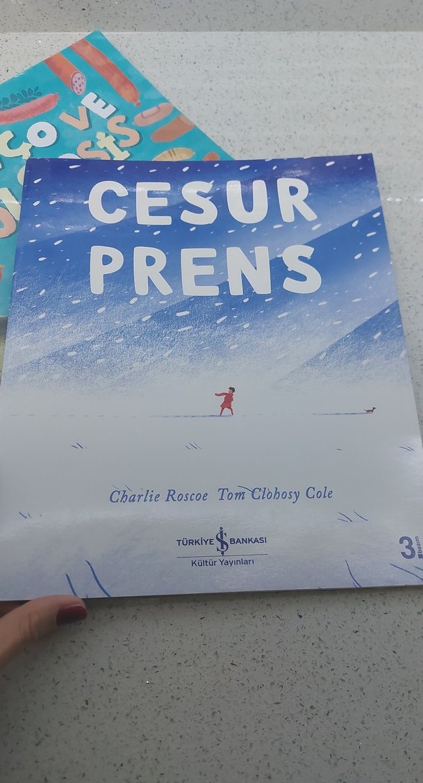 Çocuklar için Renkli Resimli Kitap Seti - Görsel 4