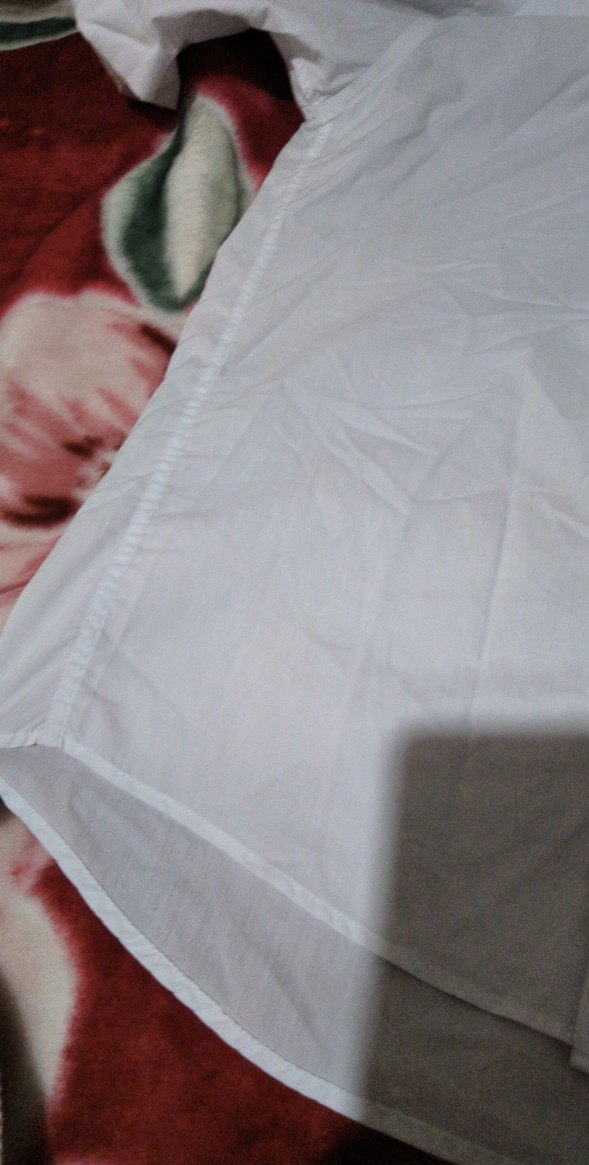 Kadın Beyaz Kısa Kollu Pamuklu Gömlek - Görsel 5