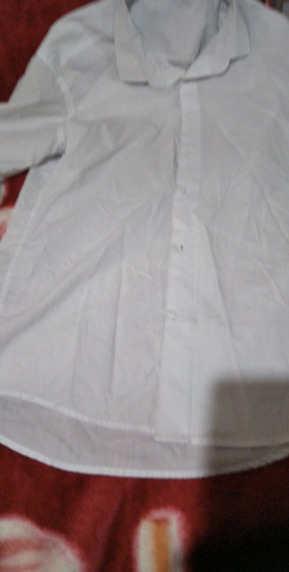 Kadın Beyaz Kısa Kollu Pamuklu Gömlek - Görsel 4