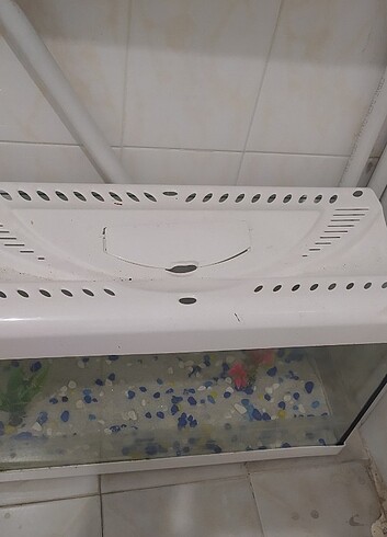 akvaryum ve motor - Görsel 3