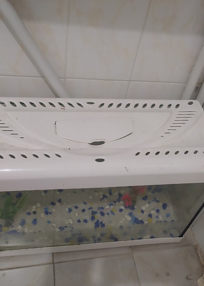 akvaryum ve motor - Görsel 3