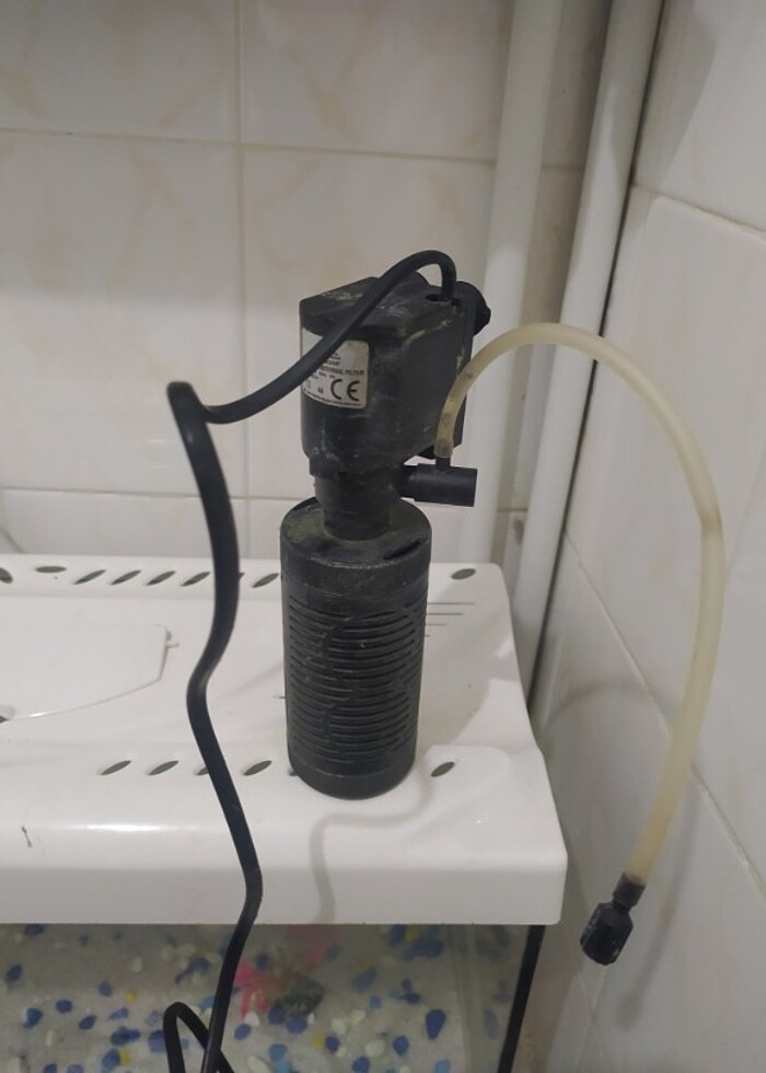 akvaryum ve motor - Görsel 4