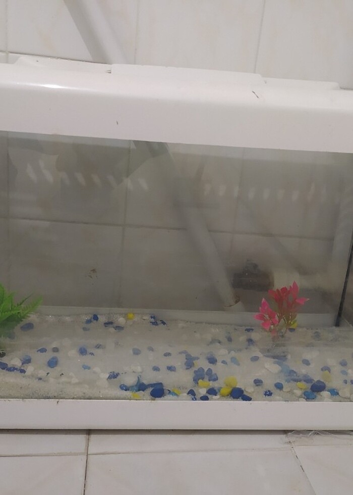 akvaryum ve motor - Görsel 5