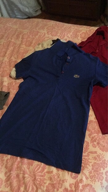Lacoste polo yak tişört