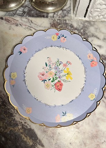 Meri meri karton tabak - Görsel 2