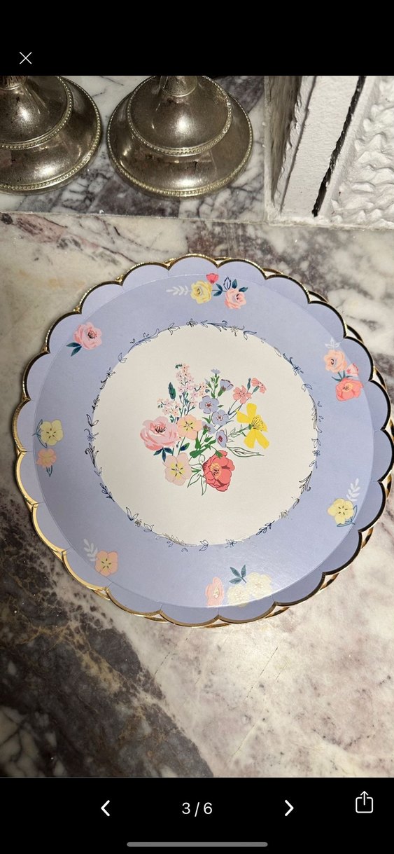 Meri meri karton tabak - Görsel 2