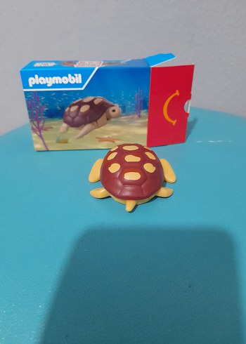 Kaplumbağa  - Görsel 2