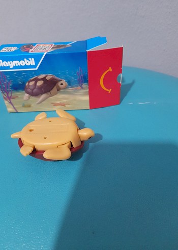 Kaplumbağa  - Görsel 3