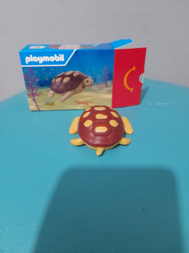 Kaplumbağa  - Görsel 2