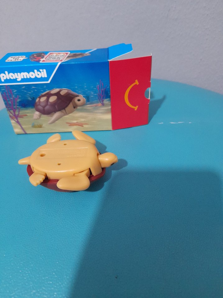 Kaplumbağa  - Görsel 3