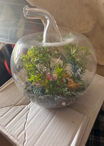 Cam Elma Teraryum Renkli ve Yeşil Bitkili - Görsel 2