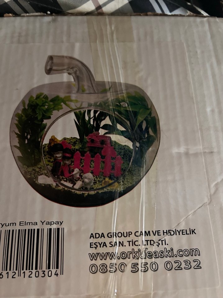 Cam Elma Teraryum Renkli ve Yeşil Bitkili - Görsel 4