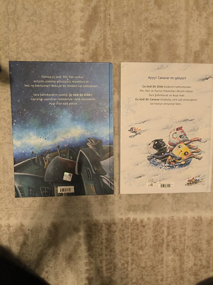 Üç Kedi Bir Dilek & Bir Canavar Çocuk Kitapları - Görsel 2