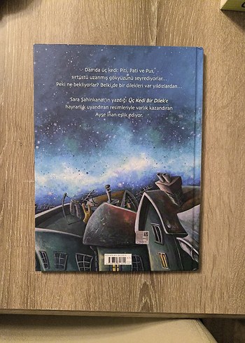 Üç Kedi Bir Dilek Çocuk Kitabı - Görsel 2