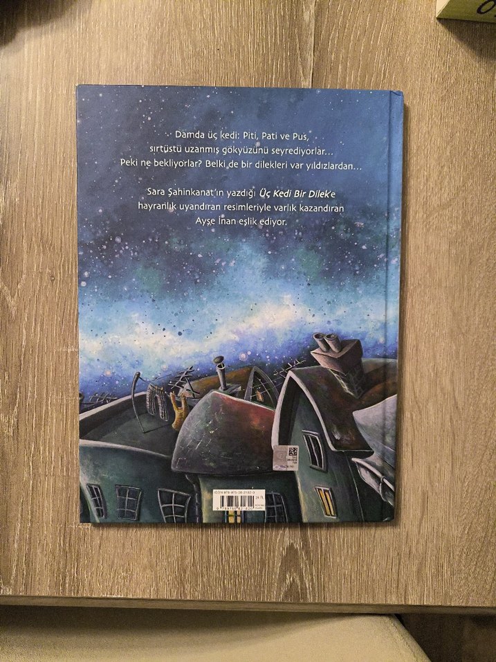 Üç Kedi Bir Dilek Çocuk Kitabı - Görsel 2