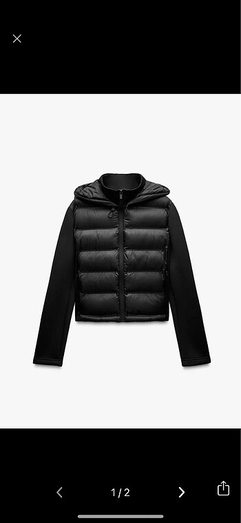 zara ceket