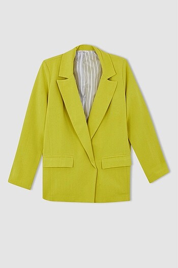Blazer ceket