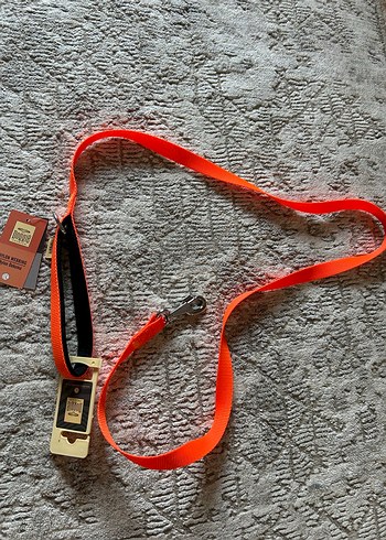  Turuncu Köpek Tasması ve Gezdirme Kayışı