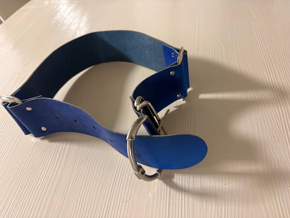 Mavi Deri Kadın Kemer Tokalı - Görsel 5