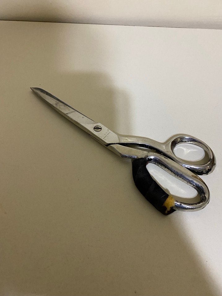 Gri terzi makası - Görsel 2