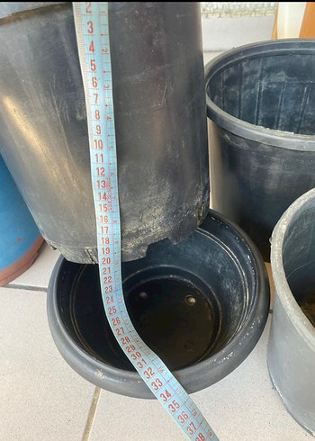 Beden Çeşitli Boylarda 35 adet saksı