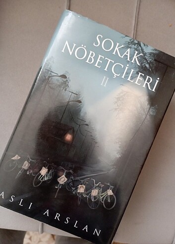 Roman kitap