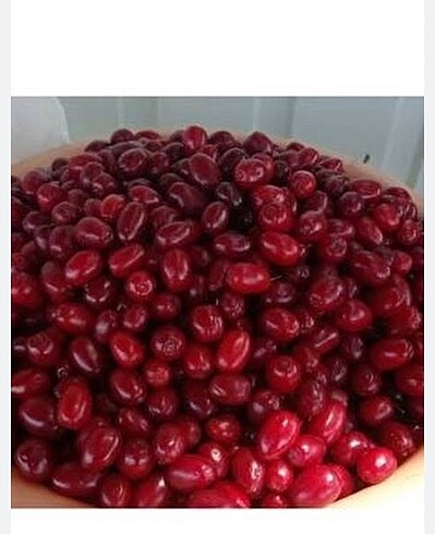 Kızılcık kurusu