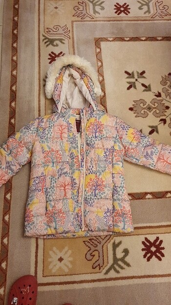 USPA çocuk mont 