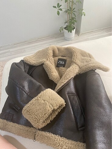 Zara mont ceket