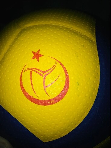 Voleybol topu