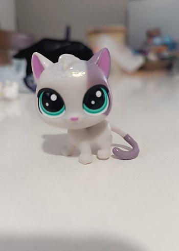 lps simli kedi miniş